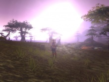 Napfényben fürdőzés